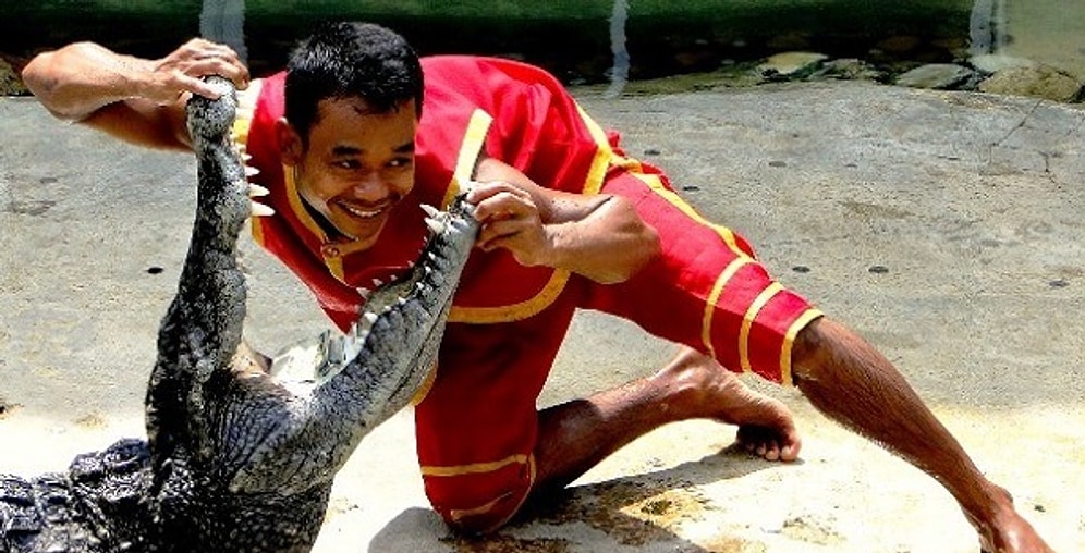 25 причин, почему мужчины живут меньше, чем женщины: ЧАСТЬ II