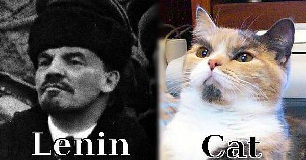 4. Lenin ve kedi mizacı