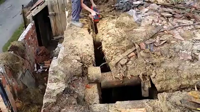 Çok Basit Bir Kural: Bindiğin Dalı Kesmeyeceksin!