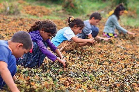 Bugün 23 Nisan: 8 Başlık ile Türkiye'nin Çocuk Hakları Karnesi