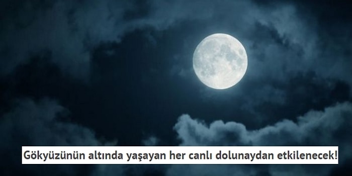 Dolunay Tepemizde Yükseliyor: İşte Burcunuza Göre Dolunaydan Alacağınız Etkiler