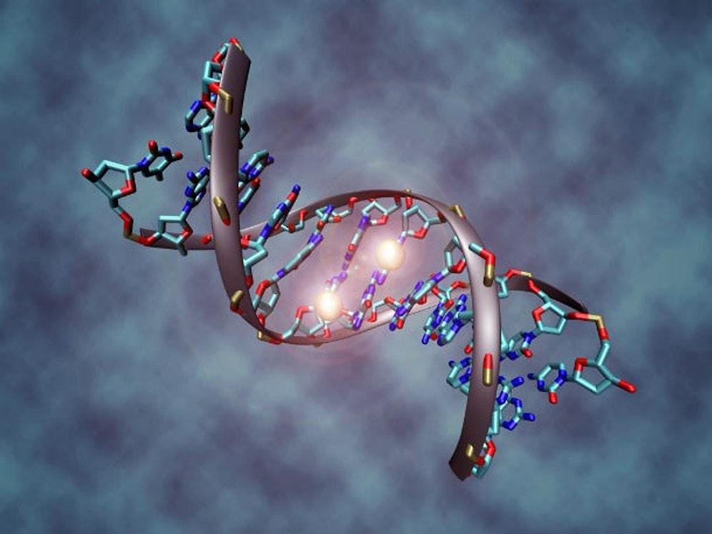 DNA Hakkında Muhtemelen Daha Önce Duymadığınız 13 Muhteşem Bilgi