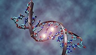 DNA Hakkında Muhtemelen Daha Önce Duymadığınız 13 Muhteşem Bilgi