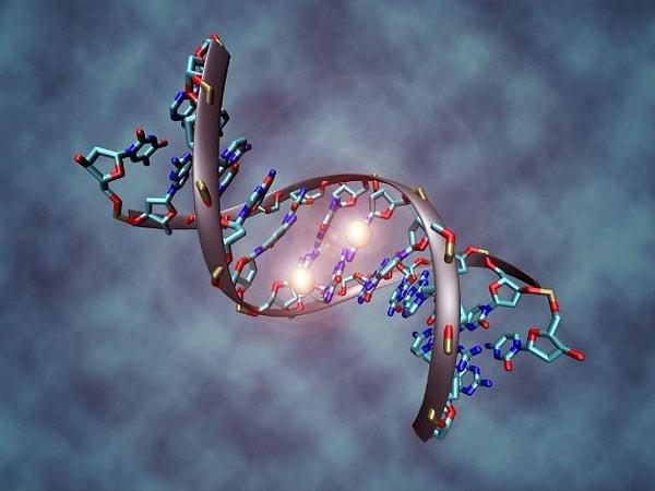 1. DNA, yaşayan tüm organizmalarda bulunur ve açılımı "deoksiribonükleik asit"tir.