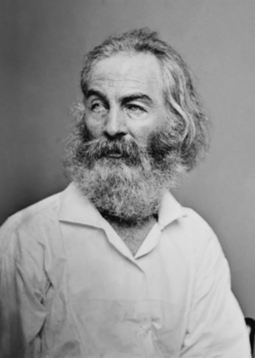 Çimen Yaprakları - Walt Whitman