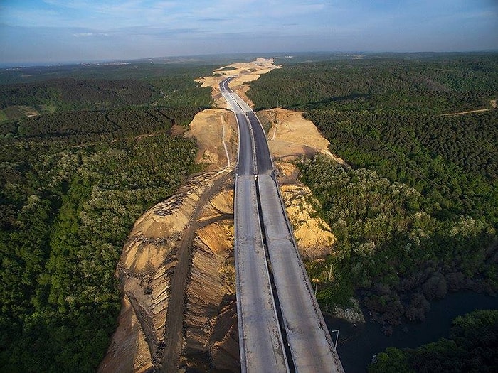 2 Yeni Fotoğraf ile Kuzey Ormanları'nda Son Durum