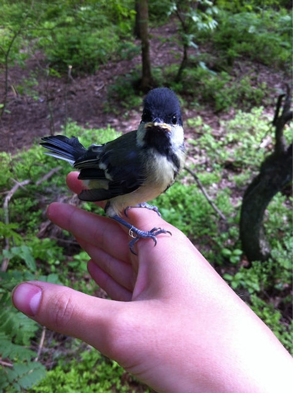 7. Крутой паренек