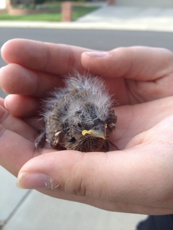 13. К разборкам готов!