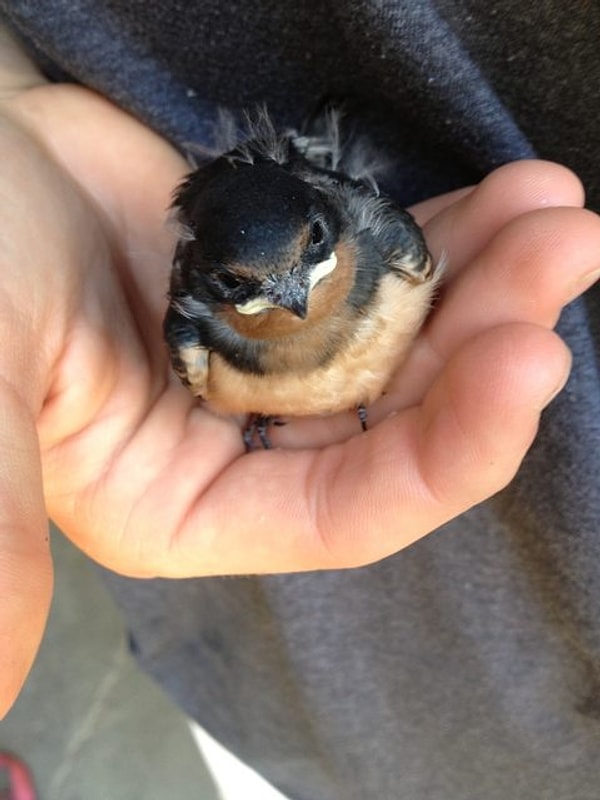 16. "Положи меня на место!"