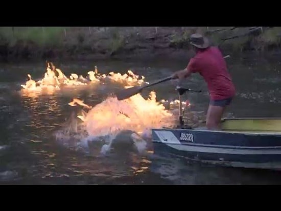 Австралийский политик поджег реку