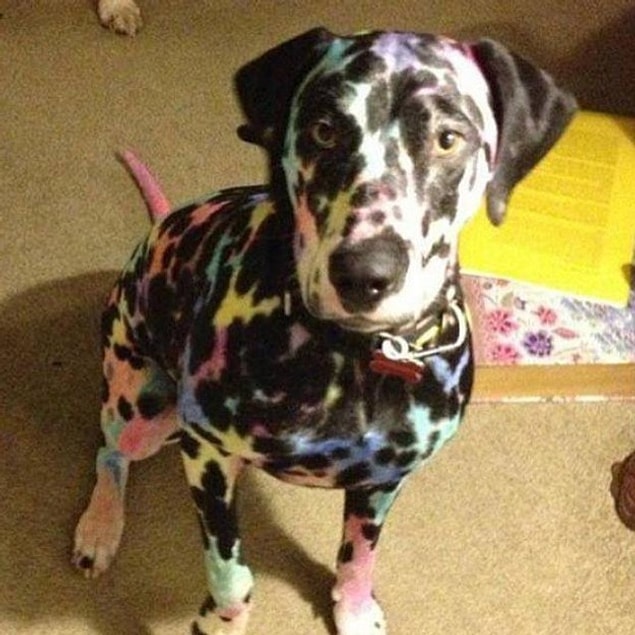 3. "But mom, I thought it was my new paint book!" 😂