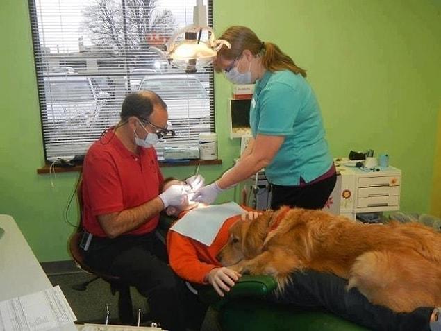 5. This dentist's dog is helping patients to stay calm! 😦