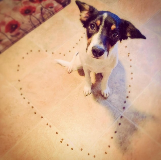 16. "Would you marry me?" 😍