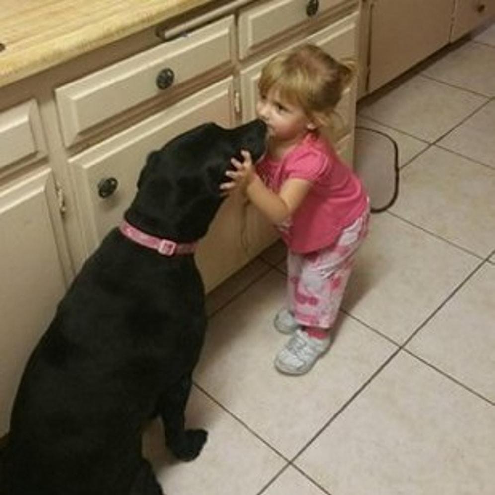 17 Photos Showing How Patient Dogs Really Are!