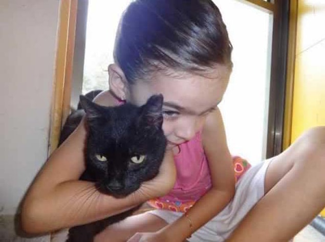 1. This little girl hugging this cat so warmly...