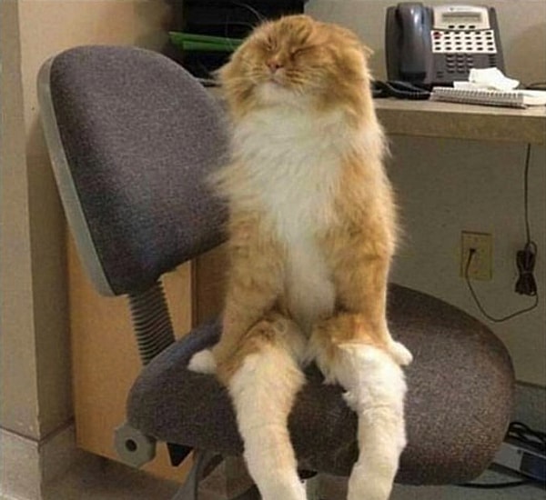 6. Утро понедельника: