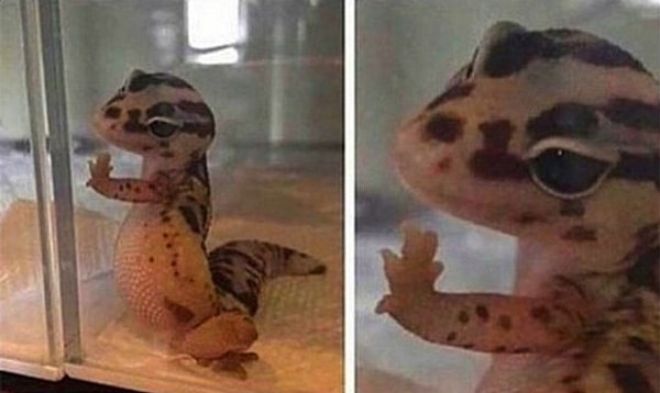 13. Несправедливость в ресторане: