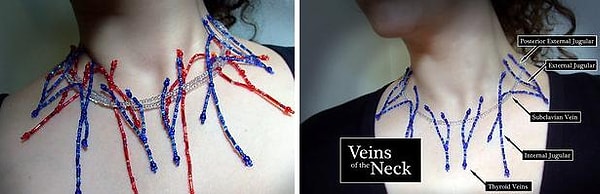 19. Колье в виде сосудов и артерий