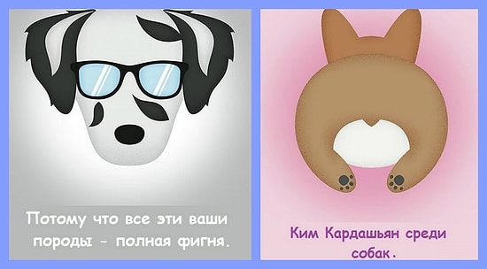 12 правдивых слоганов о породах собак: смешные стереотипы