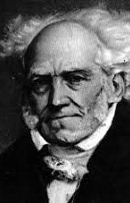 Hayatın Anlamı - Arthur Schopenhauer