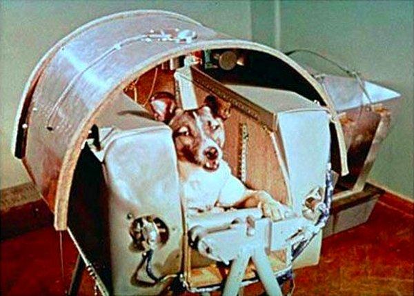 26. Uzaya giden ilk köpek Laika'nın kapsülü yapım aşamasındayken. Laika'nın geri dönmesi için hazırlık yapılmamıştı ve Laika yörüngedeyken öldü. (1957)