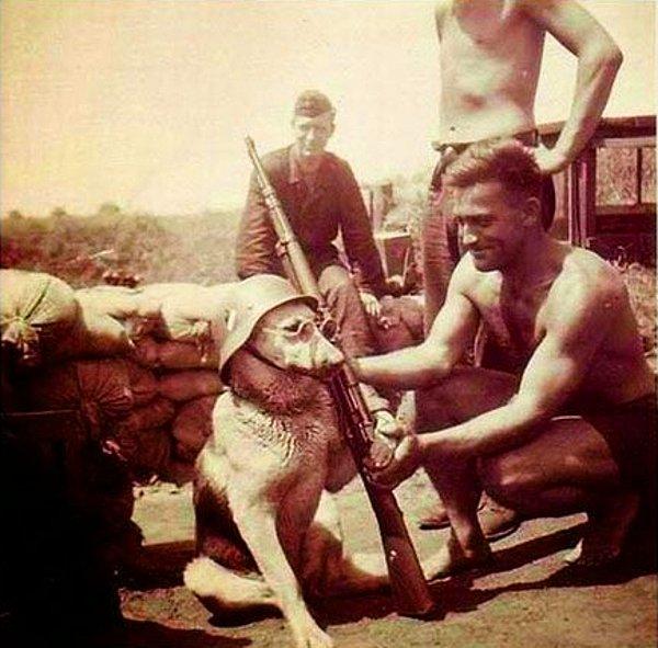 28. Alman askeri bir köpeğe poz verdiriyor. (1940)