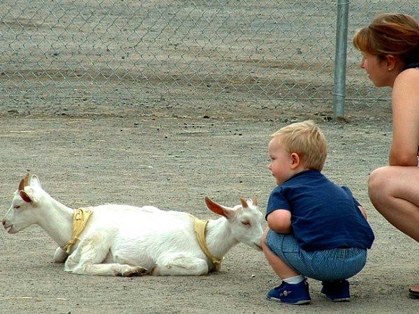 24. Они такие неразлучные!