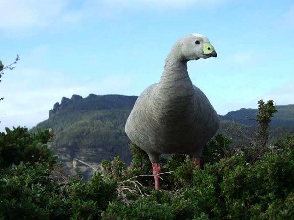 26. Там кто-то говорил, что динозавров не существует, помнишь?