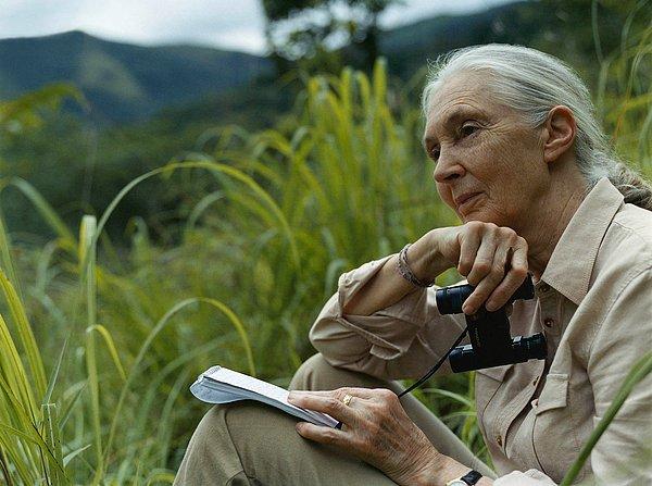 9. Jane Goodall