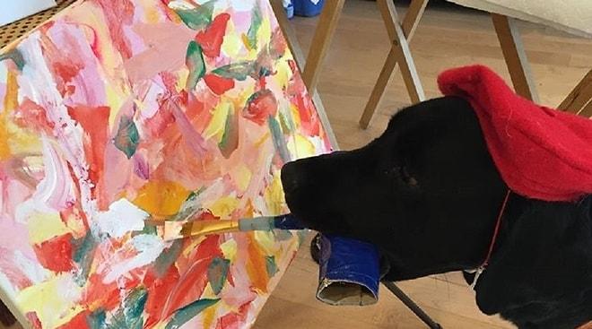 Olağanüstü Resim Becerisiyle Da Vinci'yi Sollayacak Süper Yetenekli Ressam Köpek