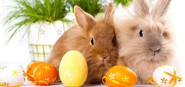 3. Даты Пасхи у католиков и православных не совпадают из-за того, что расчет ее производится по разным календарям. Но бывает и такое, что католическая и православная Пасха совпадают.