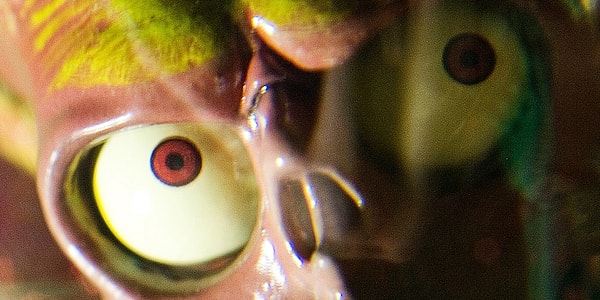 8. Просто кошмар на улице Вязов какой-то. Из фильма...