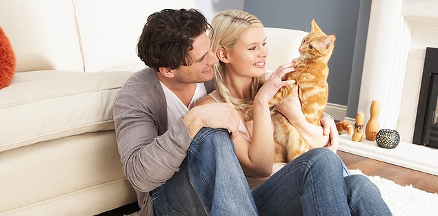 17. And lastly, he knows how to treat and flatter a woman. Because women and cats are similar, he is well-trained in this field.