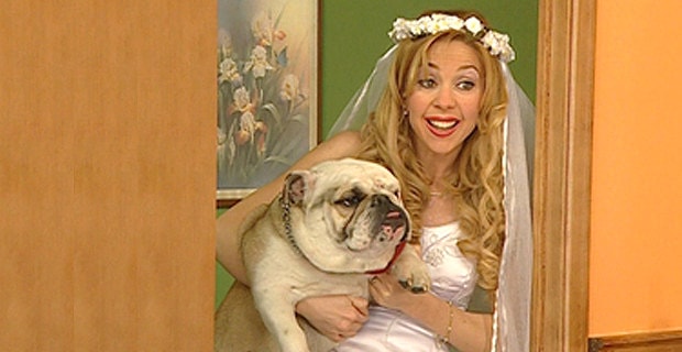 Rol Aldiklari Dizi Ve Filmlerle Gonlumuze Taht Kurmus 15 Hayvan Karakter Rol Aldiklari Dizi Ve Filmlerle Gonlumuze Taht Kurmus 15 Hayvan Karakter