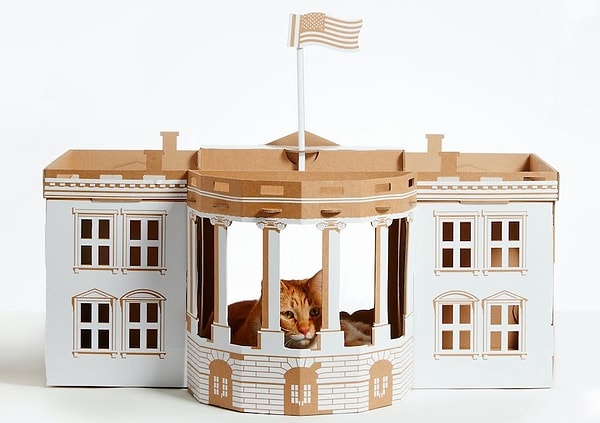 4. А, может, ему больше по вкусу Белый дом?