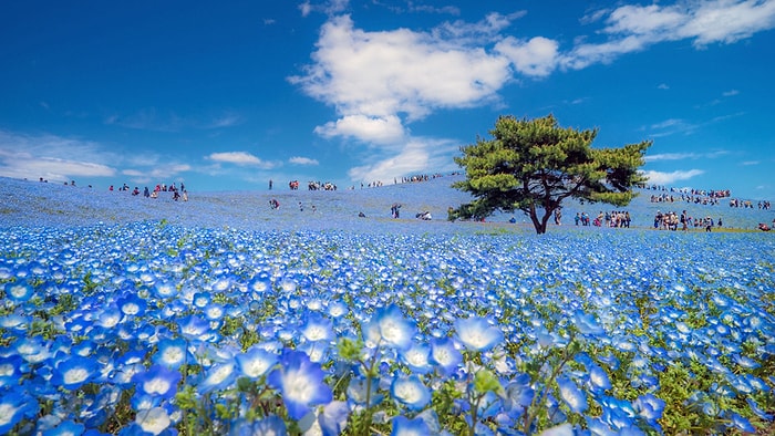 2016 National Geographic Gezgin Fotoğrafları Yarışması'ndan Hayran Kalacağınız 24 Fotoğraf