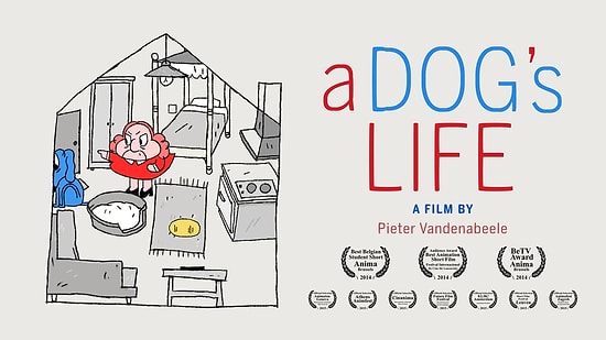 Чем занимается собака, пока вас нет дома?