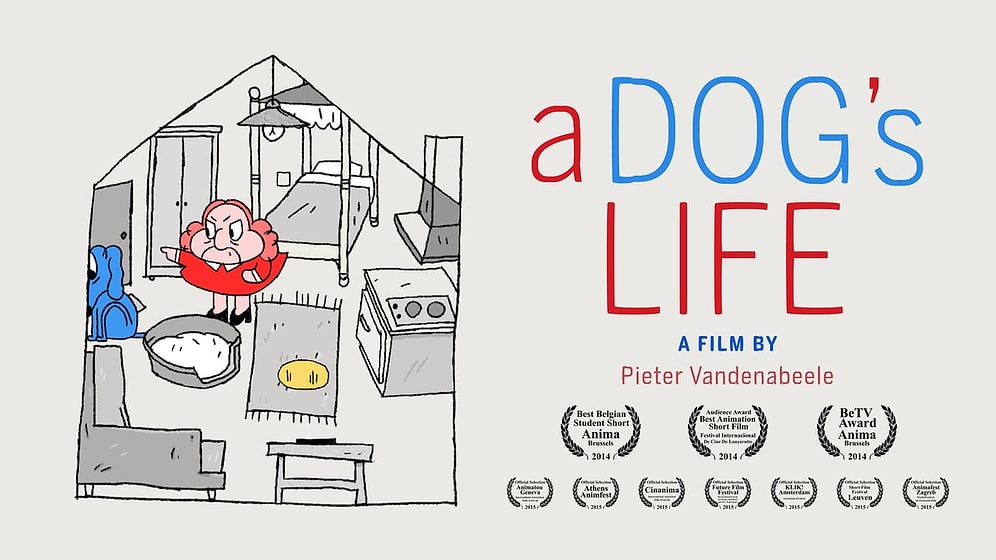 Чем занимается собака, пока вас нет дома?