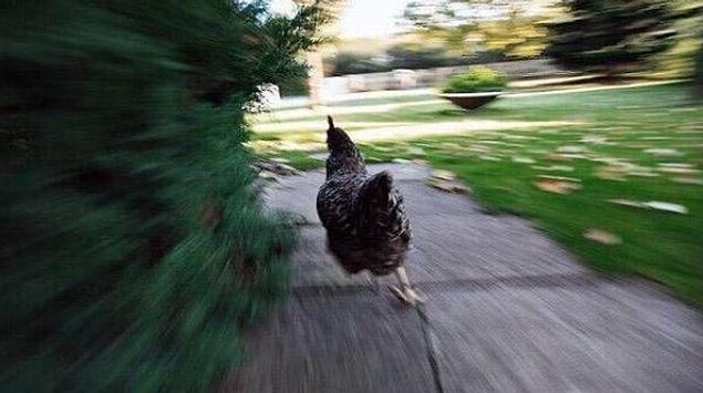 9. You became a professional runner just because of trying not to be late home.