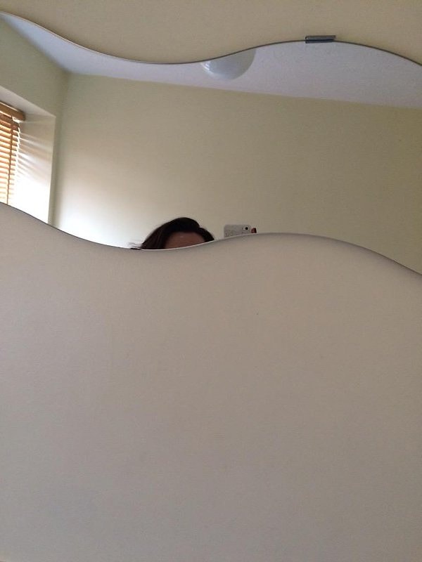 15. Ты не можешь сделать селфи в туалете, потому что зеркало слишком высоко