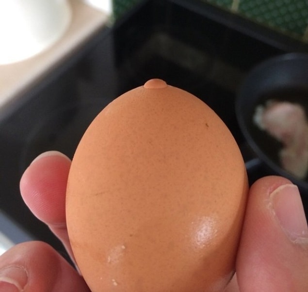 8. This egg has identity issues!