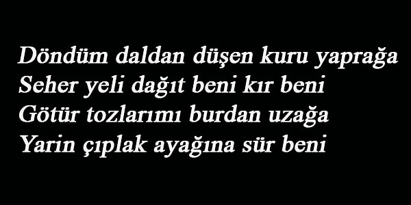 25. Bu dizeler kime ait?