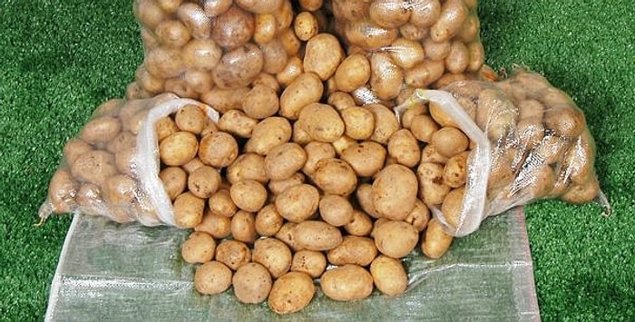 15 Maddeyle İnsan Çocuğu Olacakken Son Anda Patates Çuvalı Olan İnsanlar