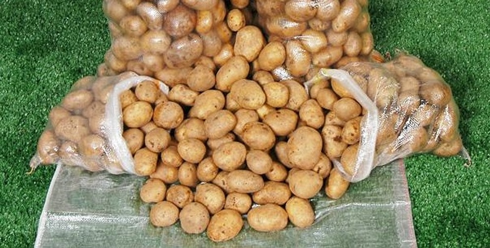 15 Maddeyle İnsan Çocuğu Olacakken Son Anda Patates Çuvalı Olan İnsanlar