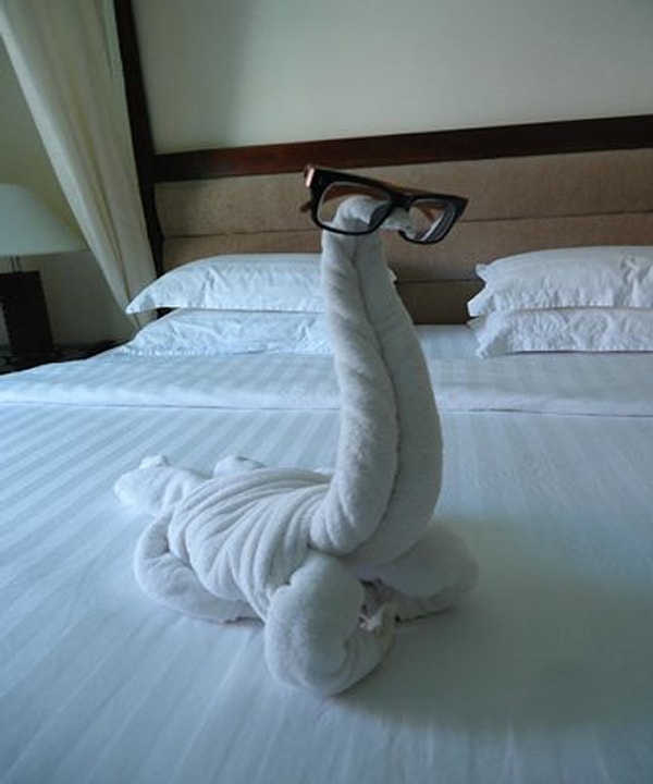 9. Они как бы говорят хозяевам, что мы еще здесь.