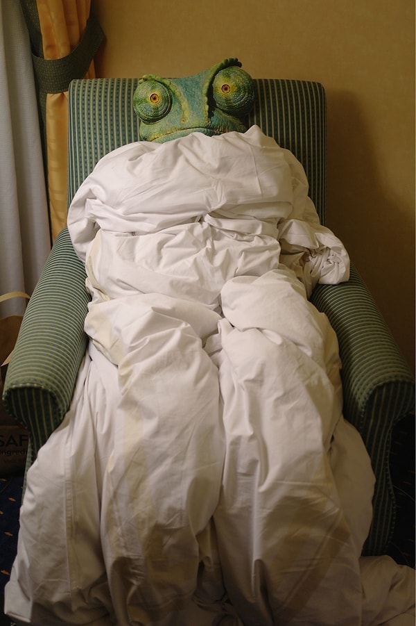 15. В противном случае, такая вот жаба будет приходить к вам во сне каждую ночь 🐸 Каждую!!! 😂😂😂