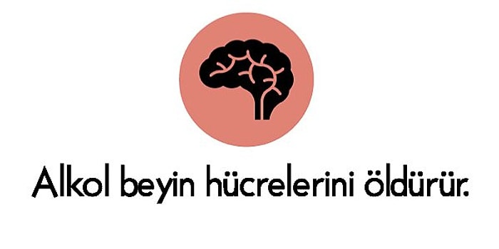 Bildiğiniz Her Şeyi Unutun: Her Seferinde 'Bu Böyle miymiş?' Diyeceğiniz 15 Yanlış Bilgi