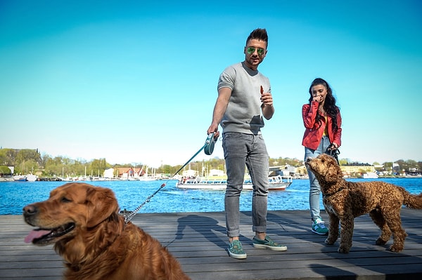 5. Они даже устроили специальную фотосессию 📷 с местными шведскими псами редкой породы лабрадудль.