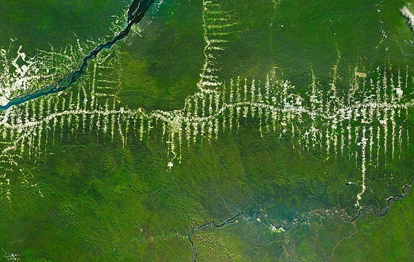 18. Дождевые леса Амазонии – Бразилия 5°40′S 52°44′W