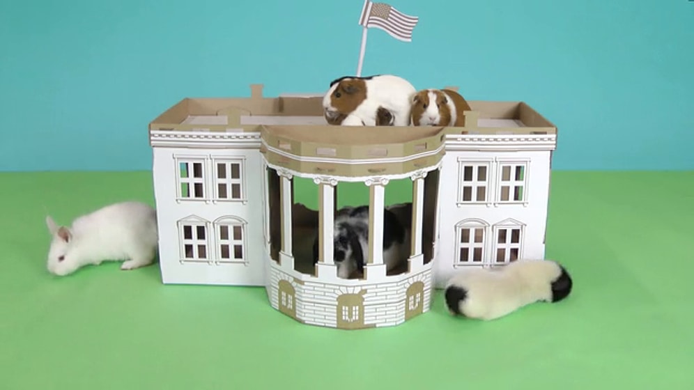 Dünyanın En Ünlü Yapılarını Kartondan Kedi Eşyası Haline Getiren Minnoş Proje